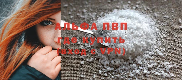 прущие грибы Новодвинск
