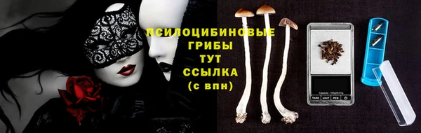 бошки Нягань
