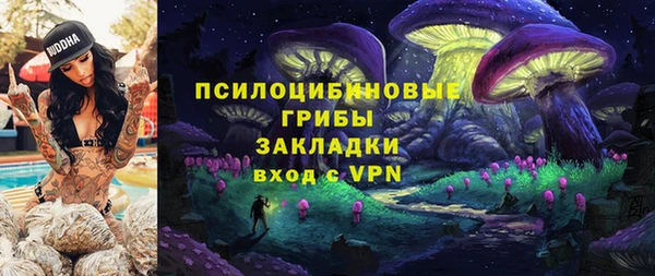 MESCALINE Осинники