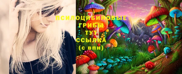 MESCALINE Осинники