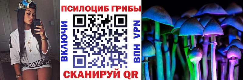 Галлюциногенные грибы Psilocybine cubensis  Находка 