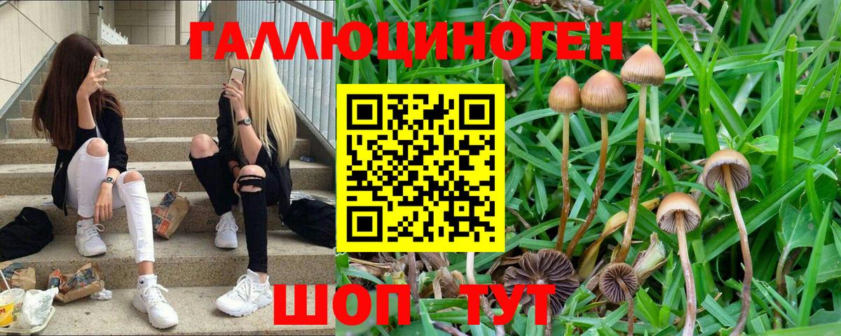 Галлюциногенные грибы Magic Shrooms Находка